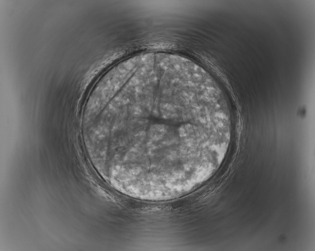 X0000115410721200912011339