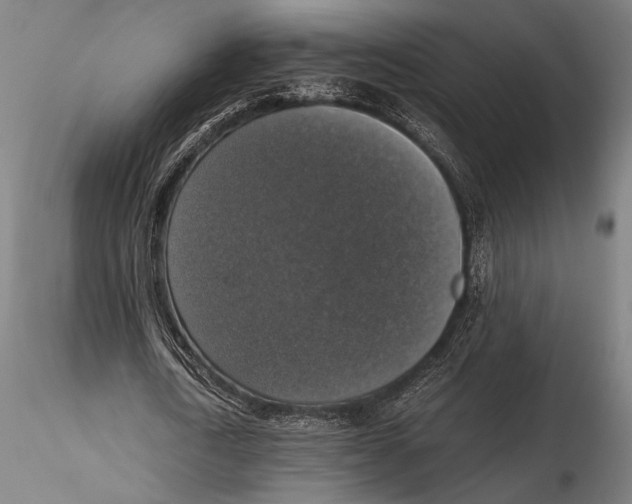 X0000115410722200912011340