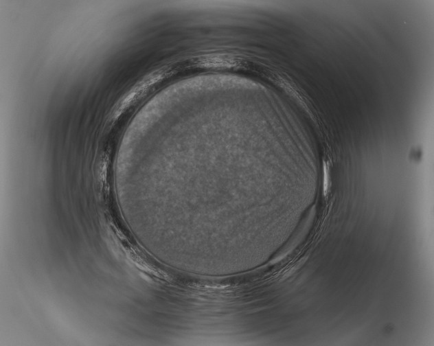 X0000115410723200912011340