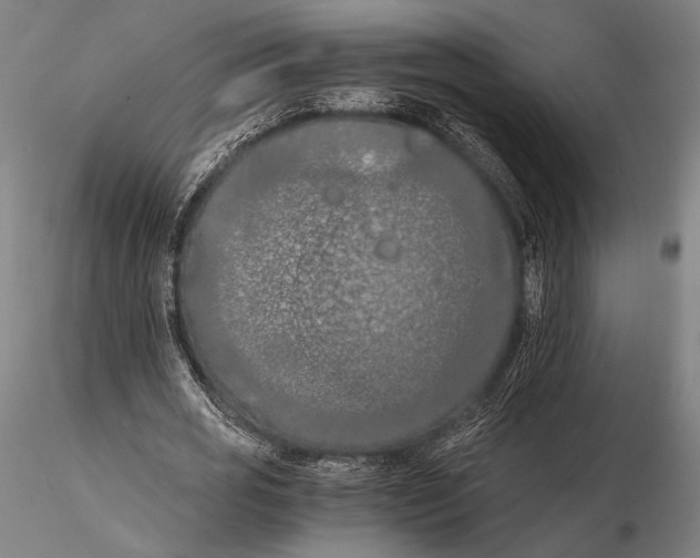 X0000115410725200912011340