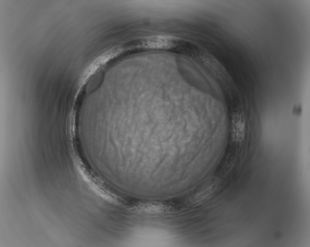 X0000115410726200912011340