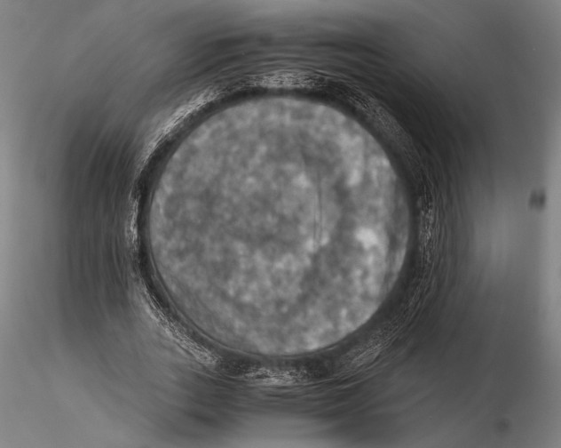 X0000115410727200912011340