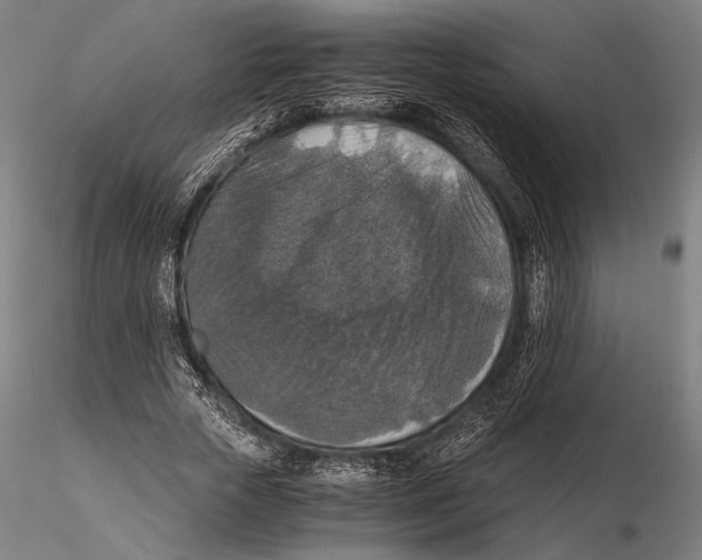 X0000115410729200912011340