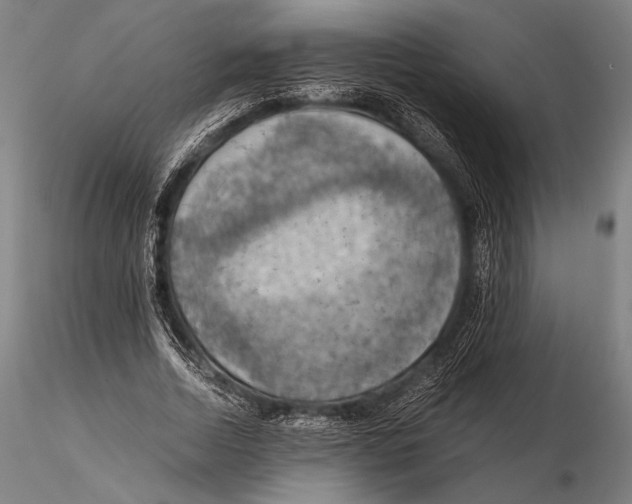 X0000115410730200912011340