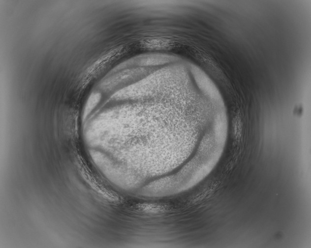 X0000115410733200912011340