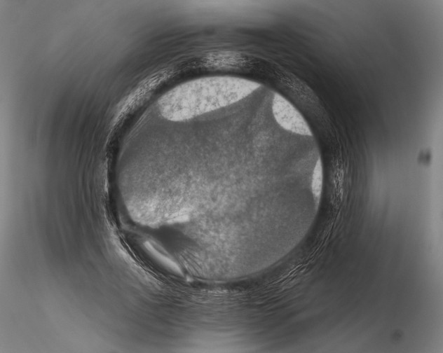 X0000115410734200912011340