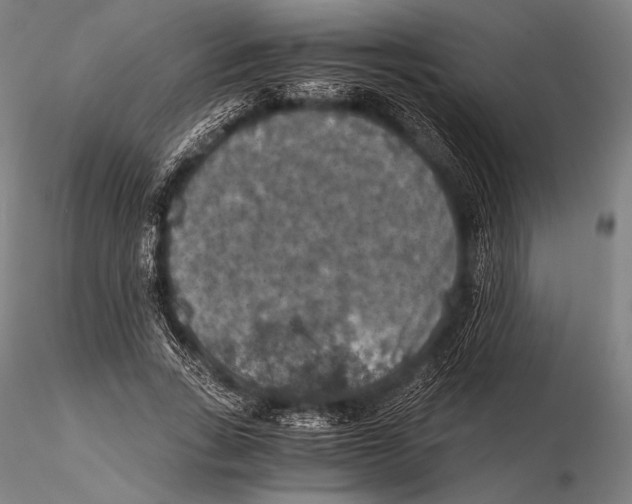 X0000115410735200912011340