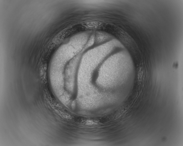 X0000115410737200912011340