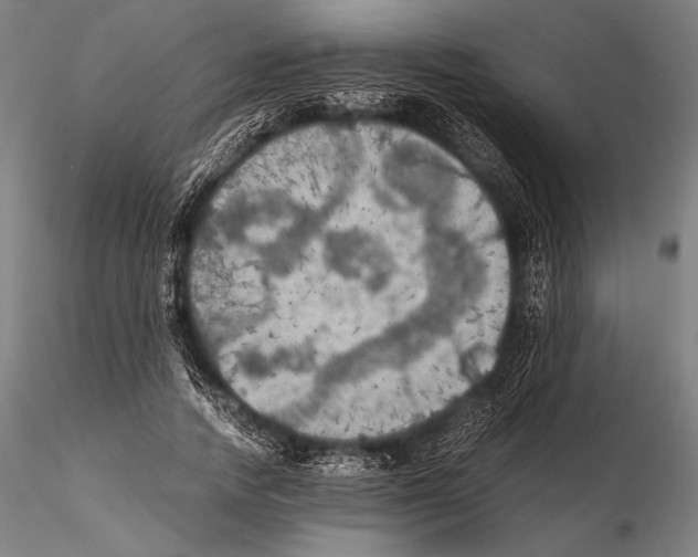 X0000115410738200912011340