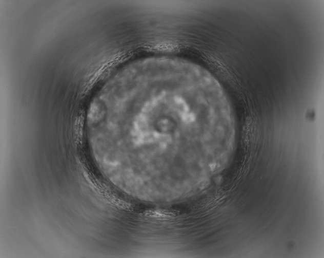 X0000115410739200912011340