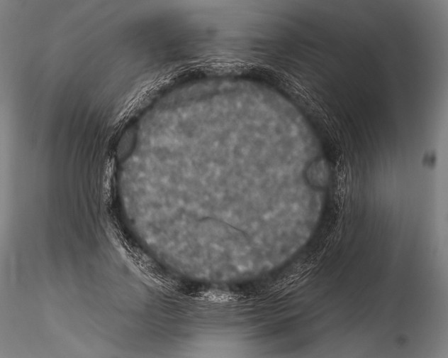 X0000115410742200912011340