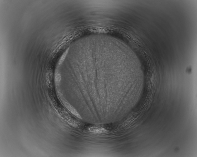 X0000115410747200912011340