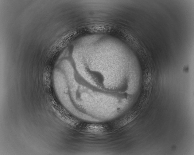 X0000115410749200912011340