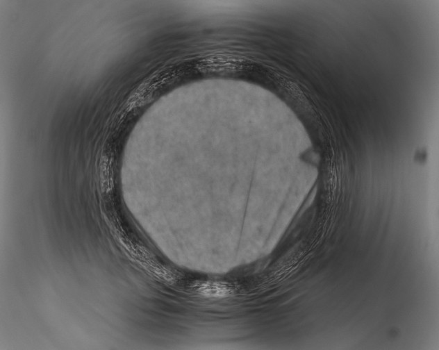 X0000115410751200912011340