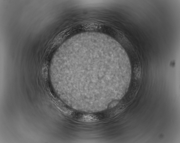 X0000115410753200912011340