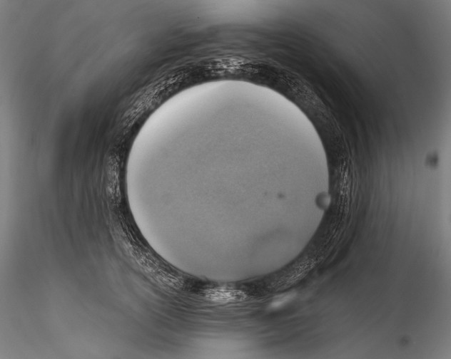 X0000115410754200912011340