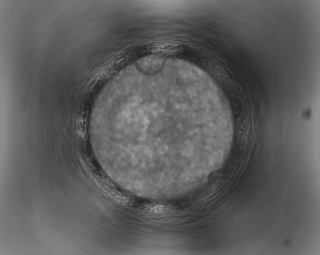 X0000115410755200912011340