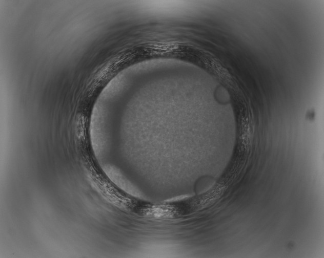 X0000115410758200912011340