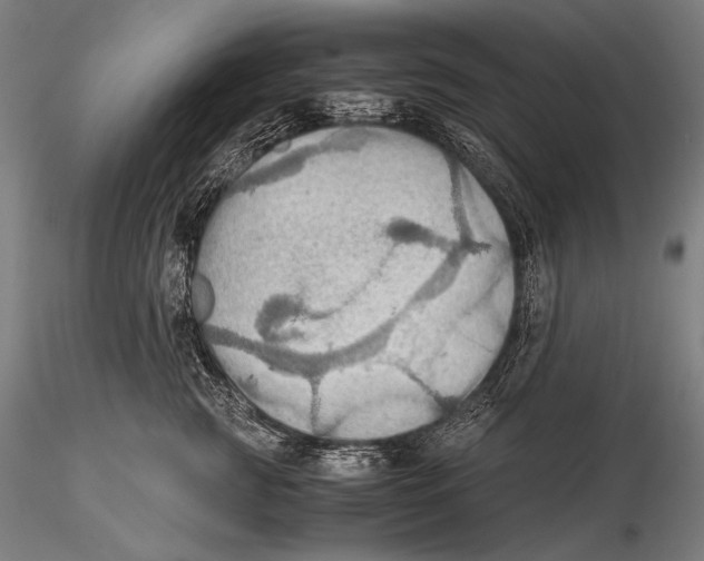 X0000115410761200912011340