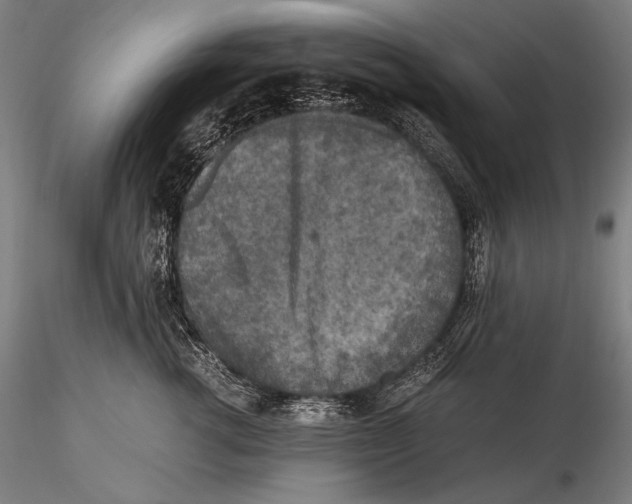 X0000115410762200912011340