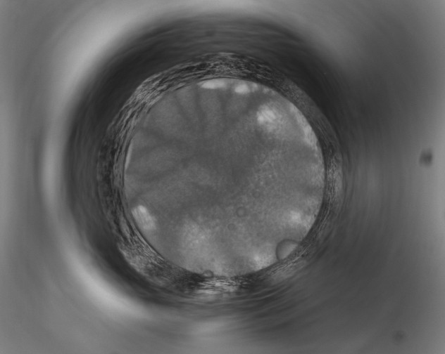 X0000115410765200912011340