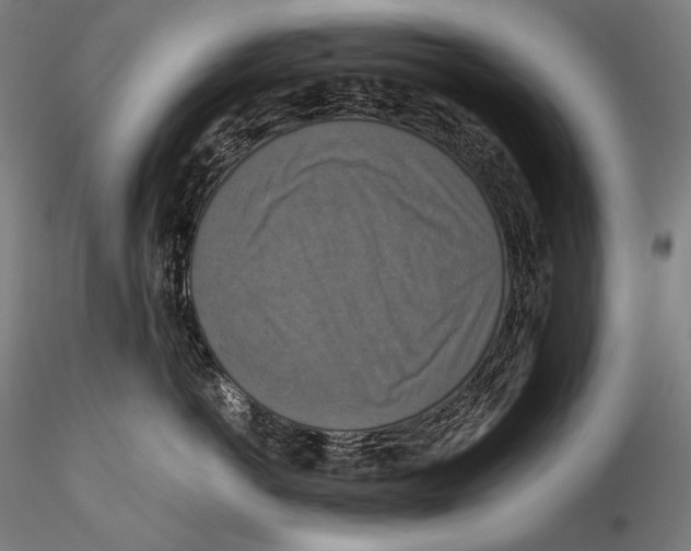 X0000115410766200912011340