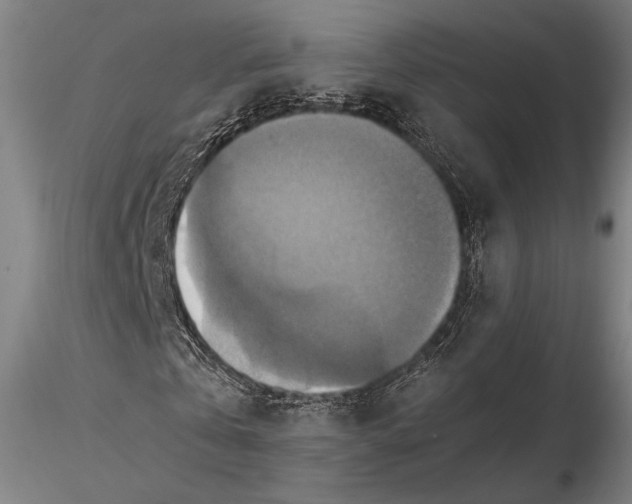 X0000115410769200912011339