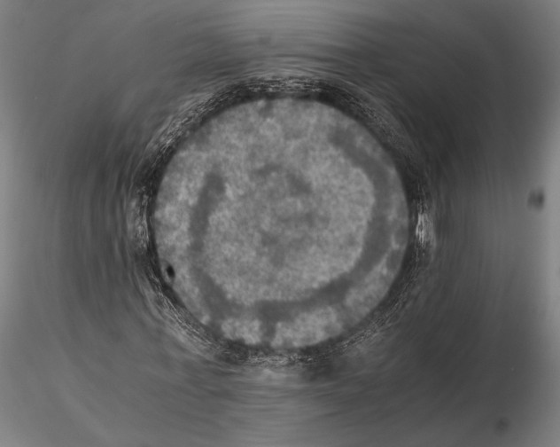 X0000115410771200912011339