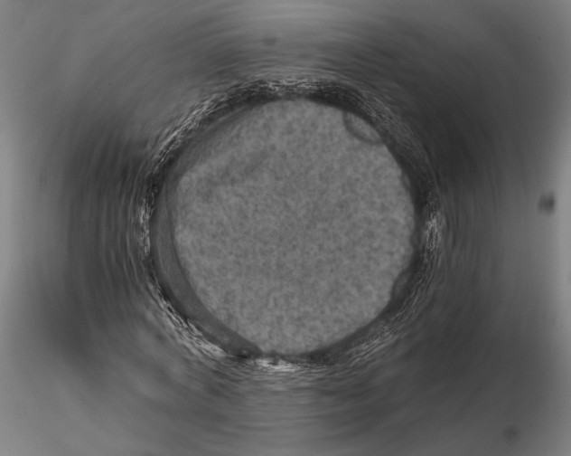 X0000115410772200912011339