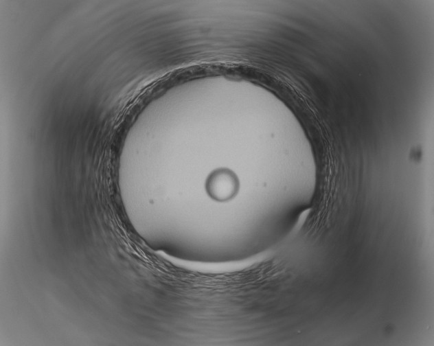 X0000115410773200912011339