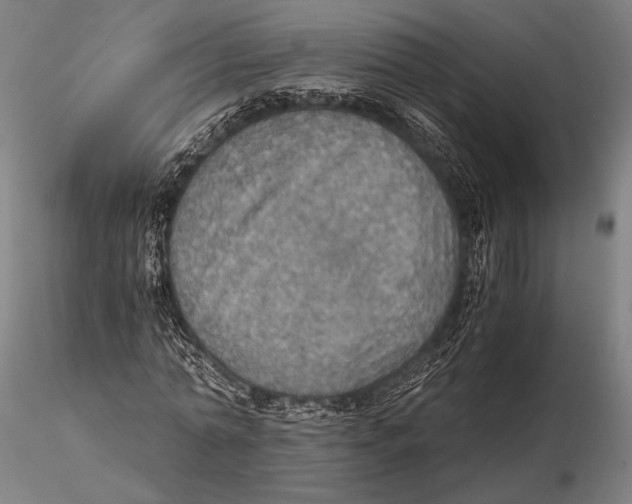 X0000115410774200912011339