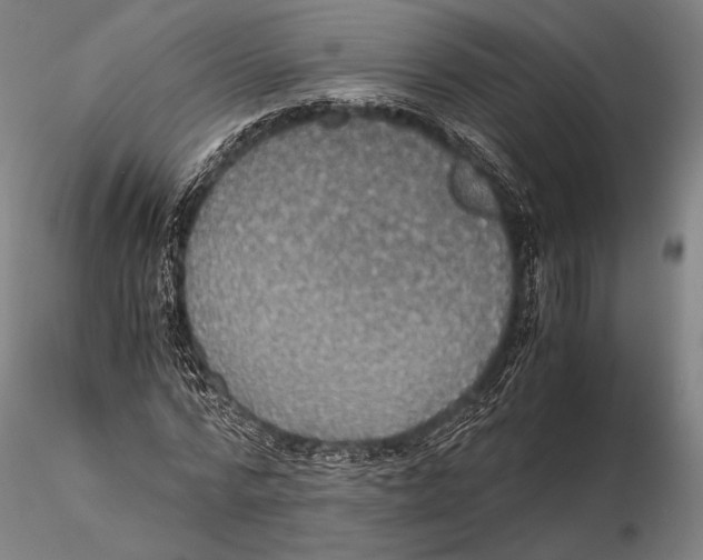 X0000115410776200912011339