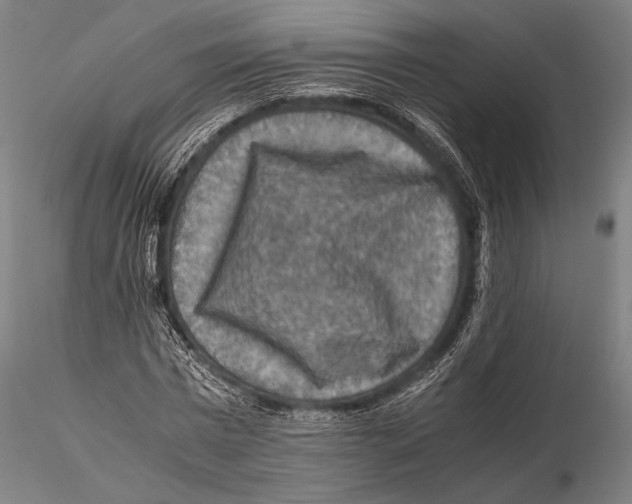 X0000115410777200912011339