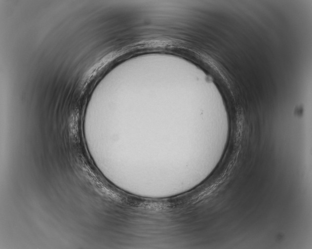 X0000115410778200912011339