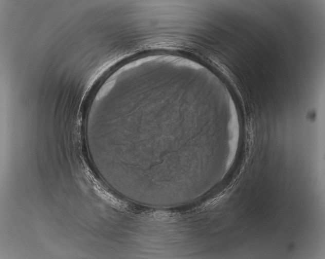 X0000115410779200912011339