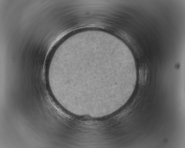 X0000115410780200912011339