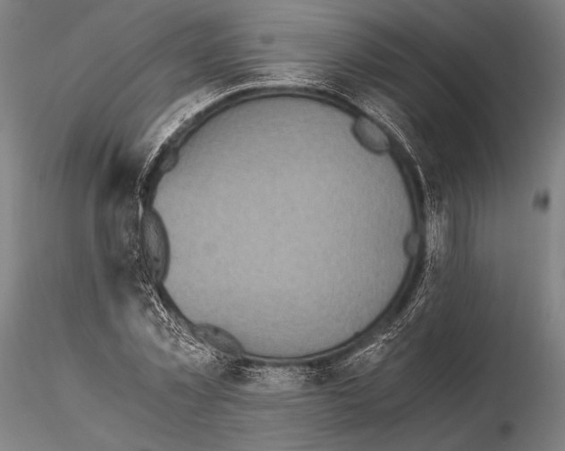 X0000115410781200912011339