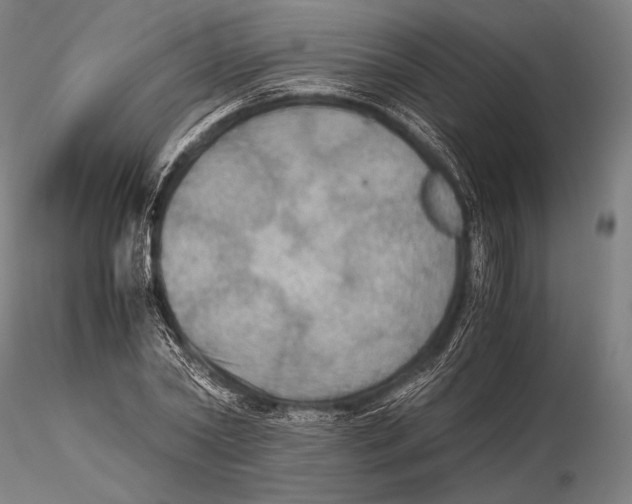 X0000115410782200912011339