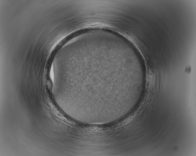 X0000115410783200912011339