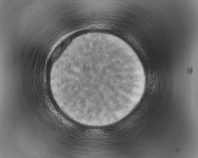 X0000115410784200912011339