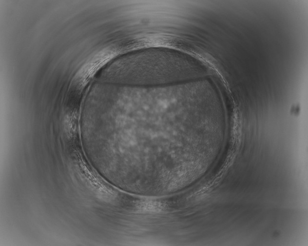 X0000115410785200912011339