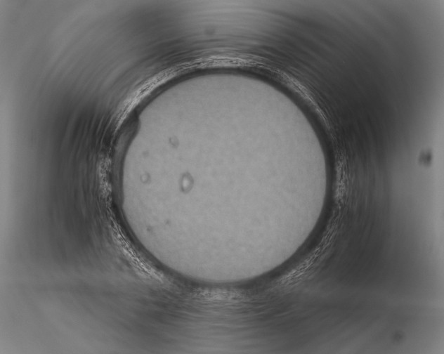 X0000115410786200912011339