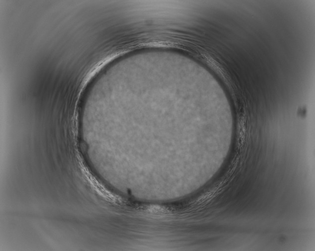 X0000115410787200912011339