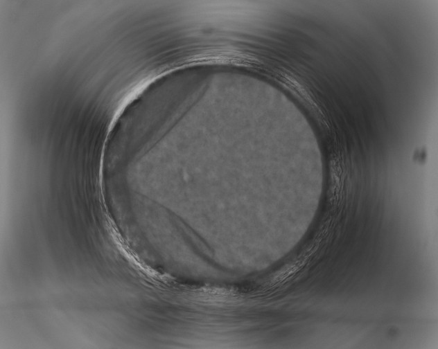 X0000115410788200912011339