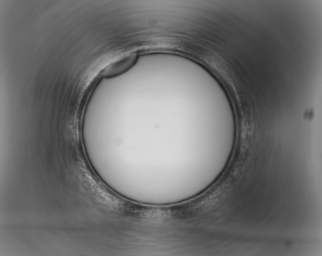 X0000115410789200912011339