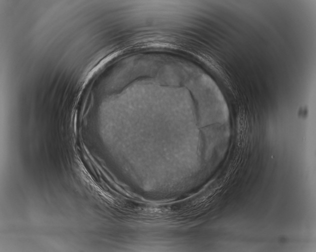 X0000115410790200912011339