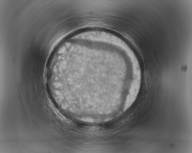 X0000115410791200912011339