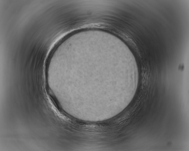 X0000115410792200912011339