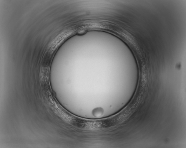 X0000115410793200912011339