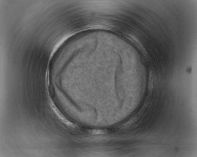 X0000115410796200912011339